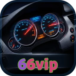 66vip