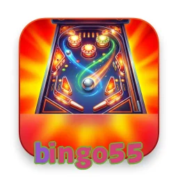 bingo55