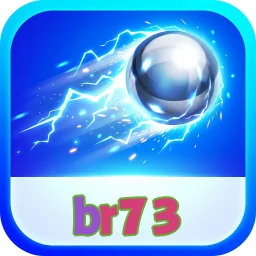 br73